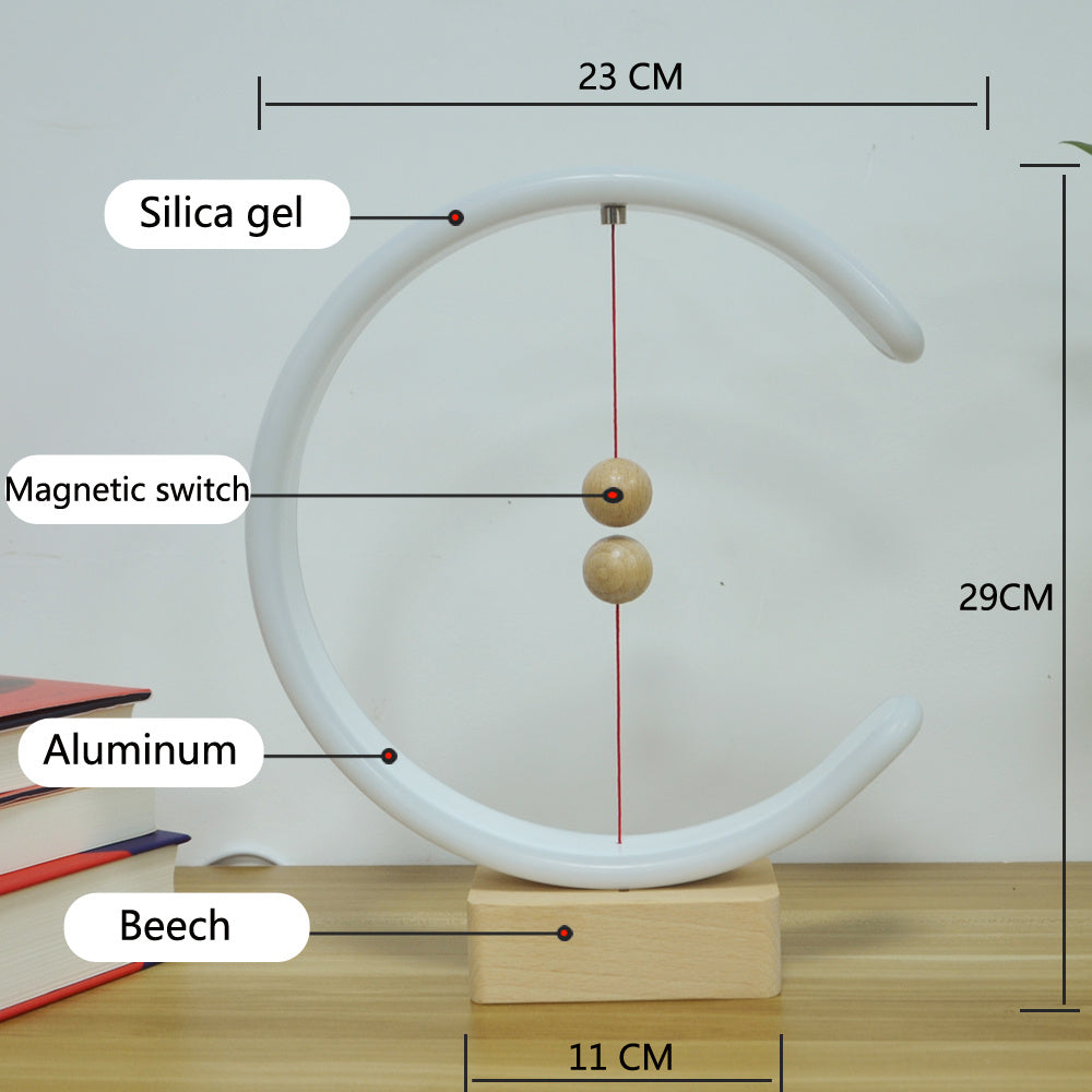 Magnetic Suspension Balance Light
