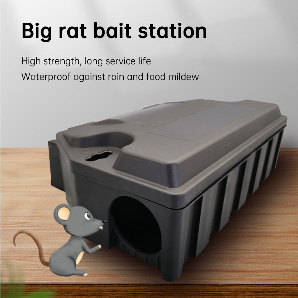 Rat Bait Stations