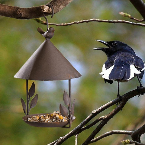 Old Wrought Iron Bird Feeder