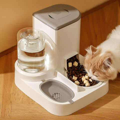 Cat Feeder and Water Dispenser Set