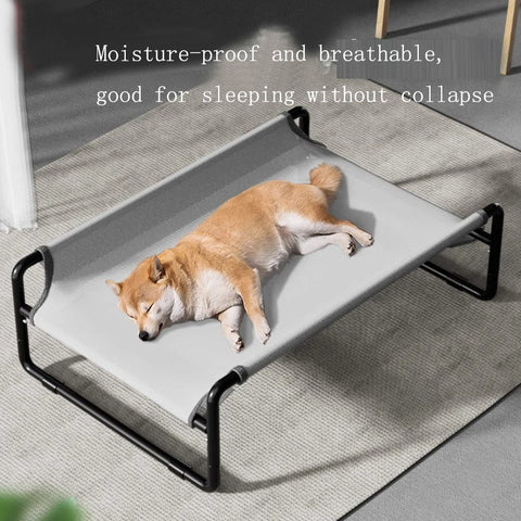 Outdoor Elevated Dog Bed