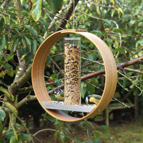 Hanging Bird Feeders