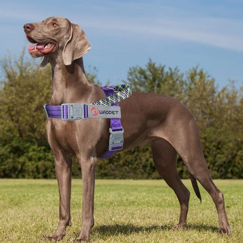 Reflective Adjustable Dog Harness