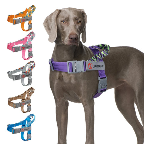 Reflective Adjustable Dog Harness