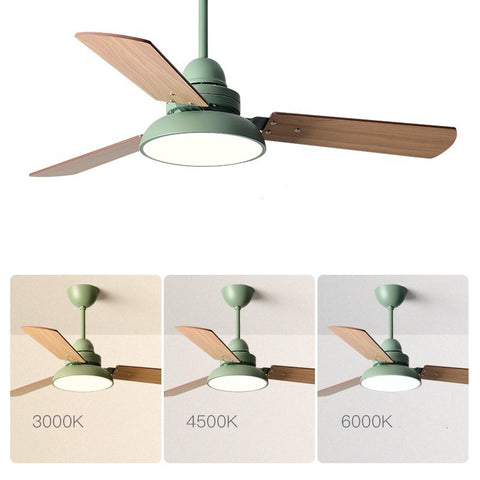 Nordic Style Ceiling Fan Lights